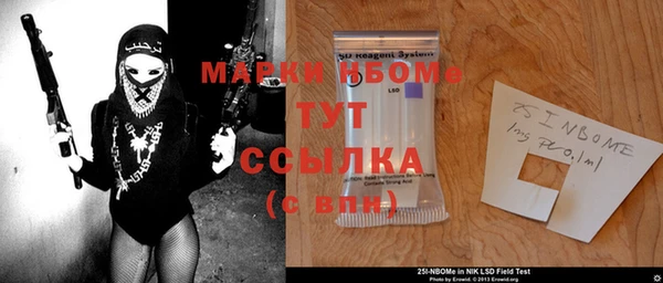 гидра Заводоуковск