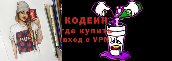 гидра Заводоуковск