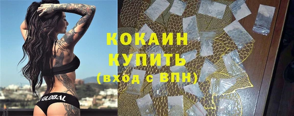 гидра Заводоуковск