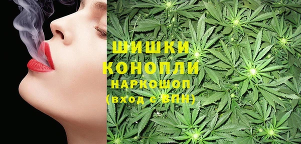 дмт Заволжск